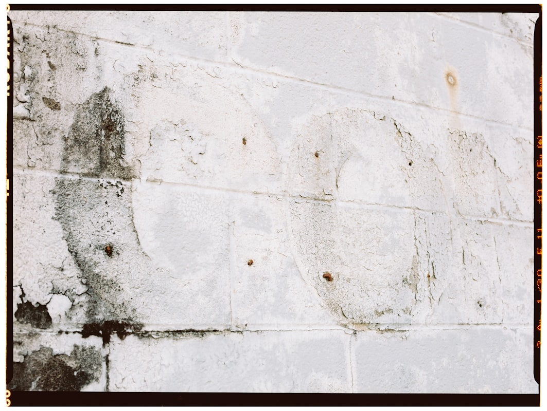 Mold Remediation service in Town 'n' Country, FL
