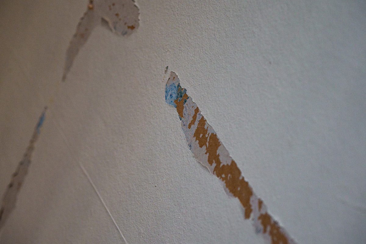Storm Damage Repair service in Town 'n' Country, FL